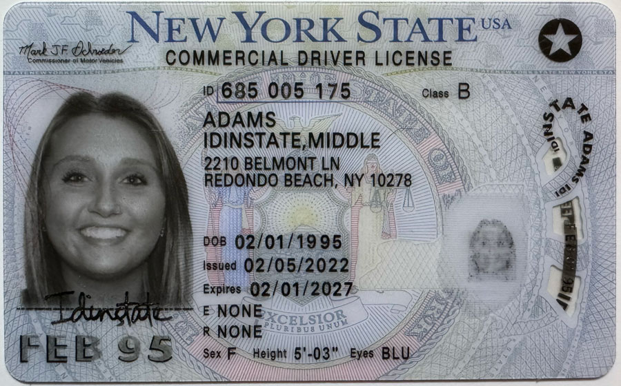 IDINSTATE IDINSTATE.CC New New York State Fake ID