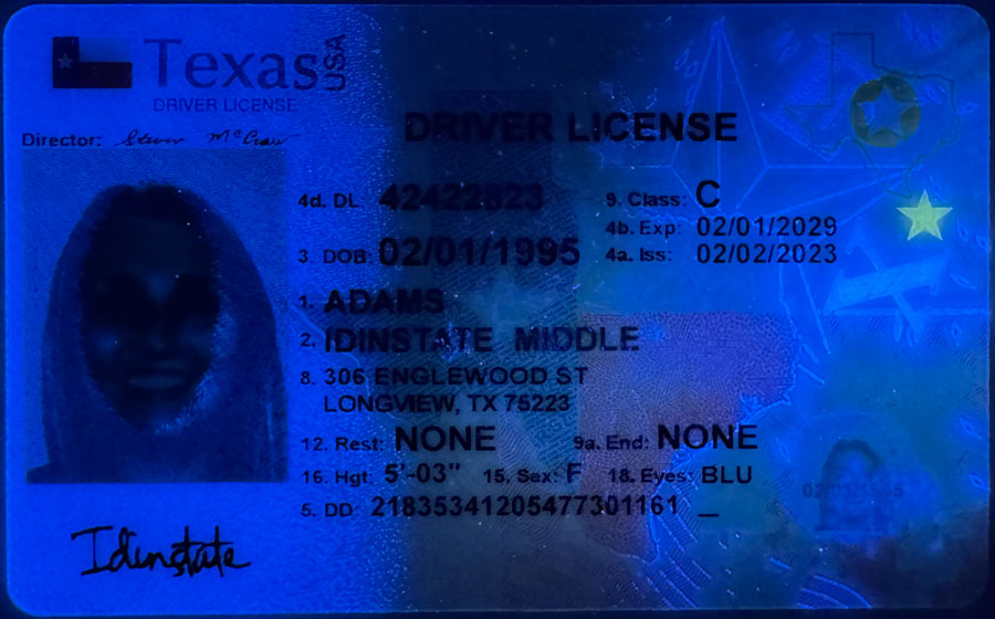 IDINSTATE New Texas