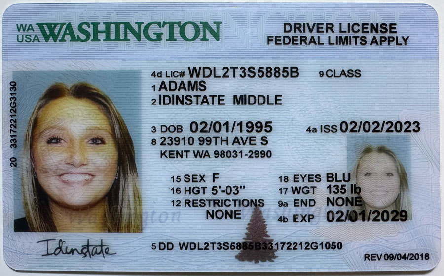 New Washington Fake Driver license